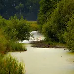 Biel I Zielen *